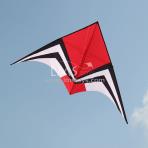 4m sq Black Widow Spider Delta Kite