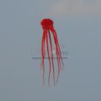 15m Red Octopus Soft Kite [Walkinsky]