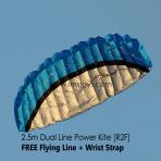 2.5m Dual Line Power Kite