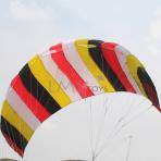 2.6m Albatross Spectra Dual Line Power Kite